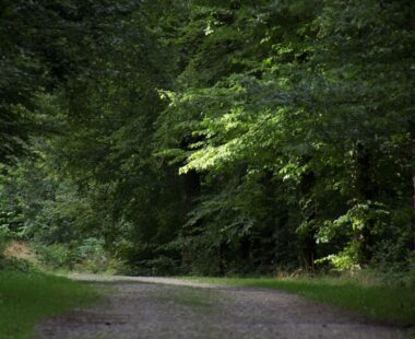 Les environs