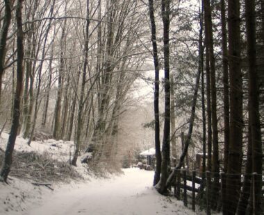 Les environs