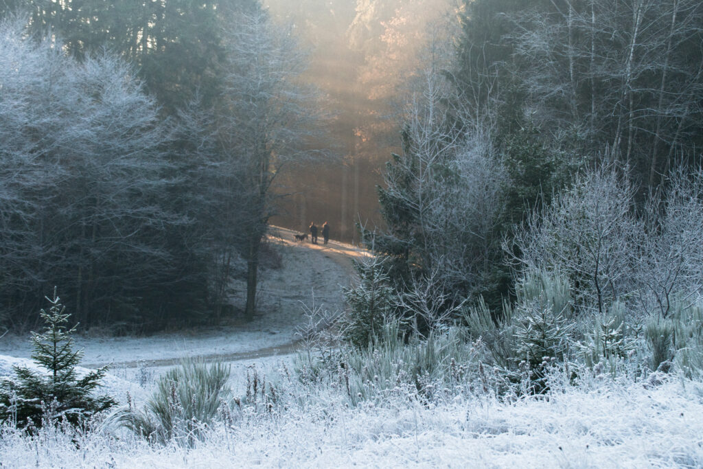 Come enjoy the snow in the beautiful Ardennes !