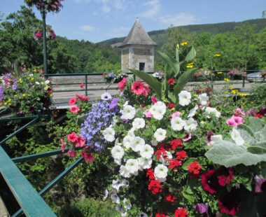 Les environs